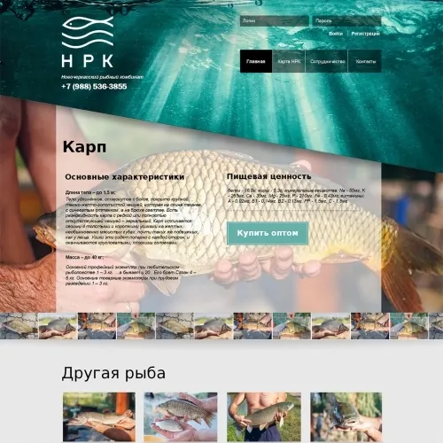 Фото Корпоративный сайт рыбокомбината