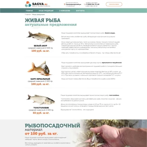 Фото Сайт-визитка рыбного хозяйства