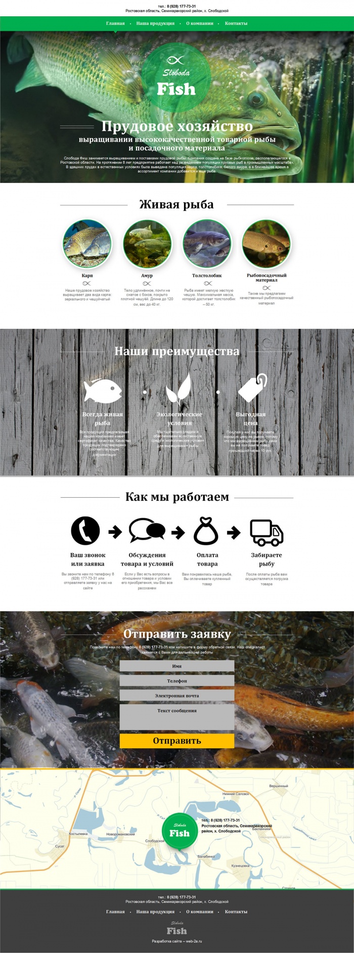 Фото Выращивание прудовой рыбы